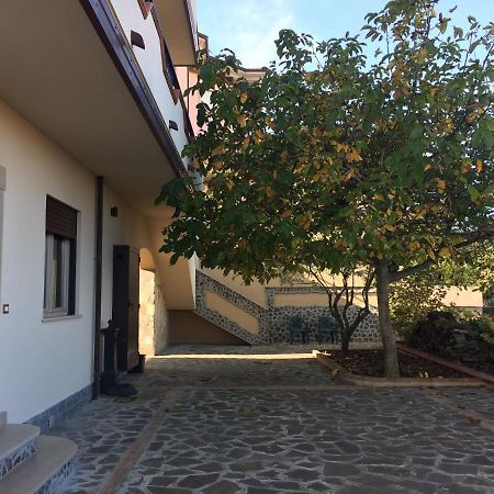 B&B "Croce Nivera" Vibo Valentia Zewnętrze zdjęcie
