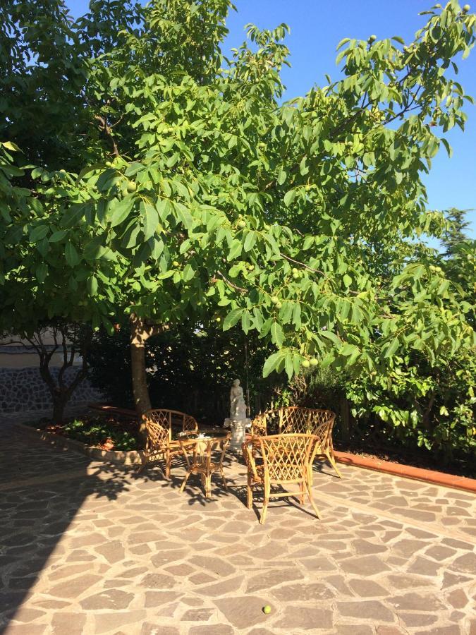 B&B "Croce Nivera" Vibo Valentia Zewnętrze zdjęcie