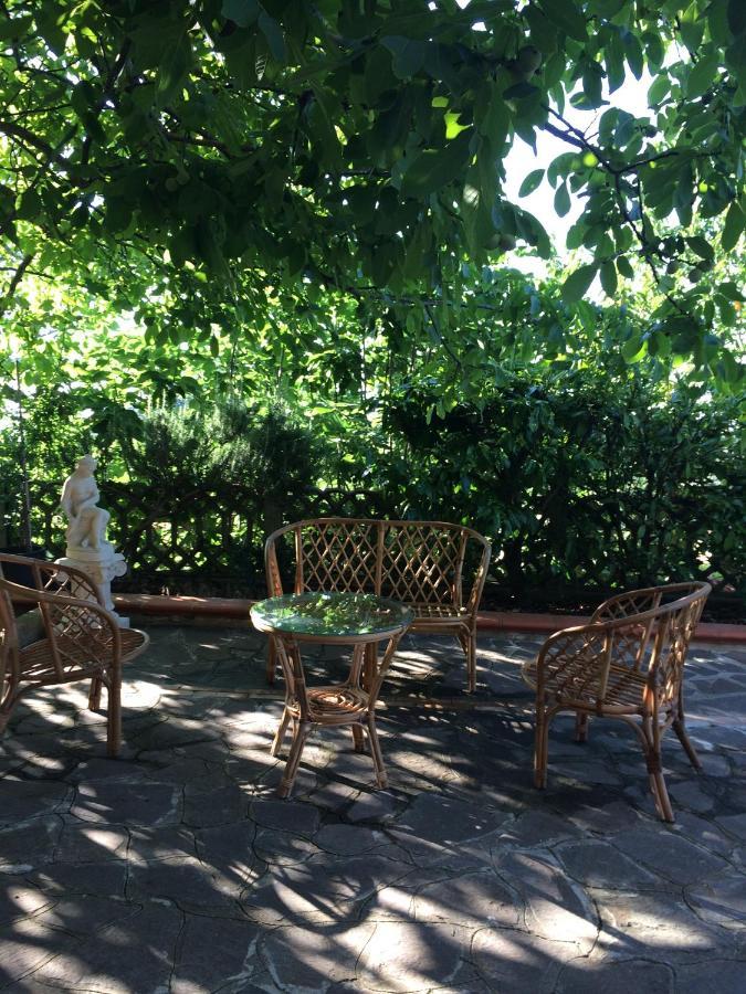 B&B "Croce Nivera" Vibo Valentia Zewnętrze zdjęcie